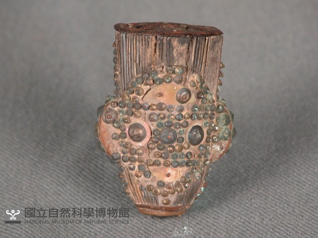 煙斗藏品圖，第1張