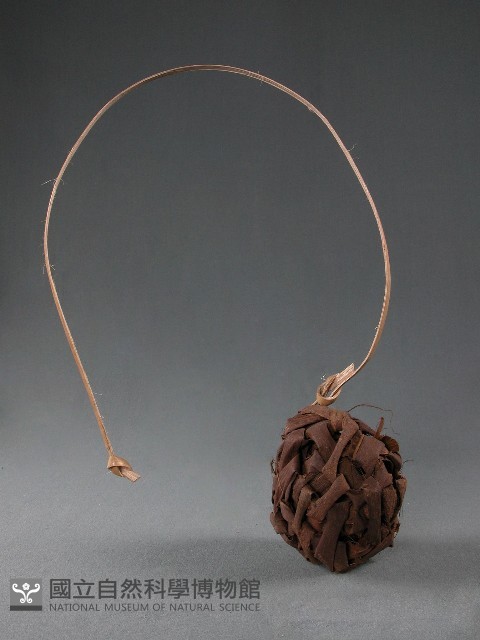 藤球藏品圖，第1張