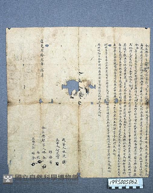 典貸借洗契藏品圖，第1張