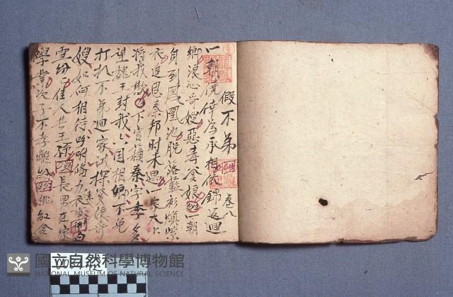 劇本藏品圖，第1張