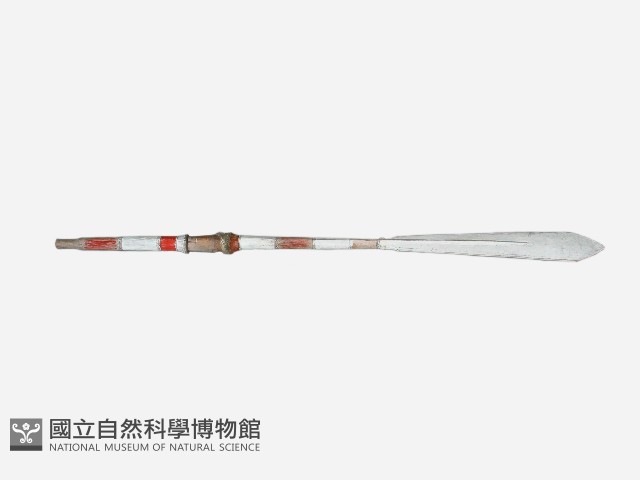 槳 藏品圖，第1張