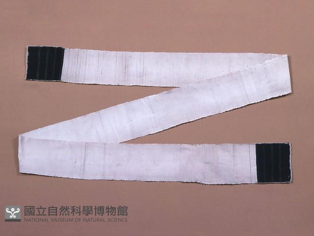 丁字褲 藏品圖，第1張