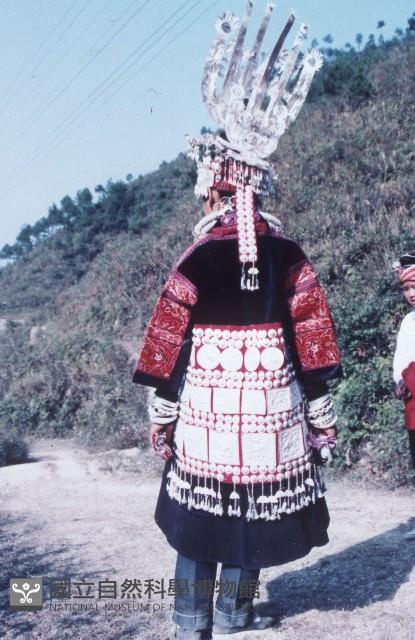 底片(銀衣)藏品圖，第1張