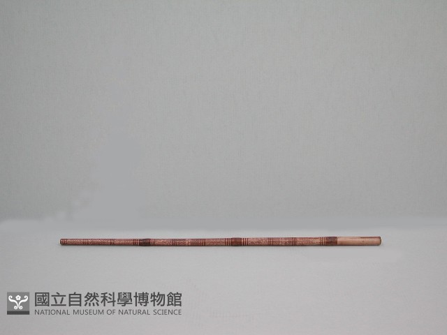 權杖藏品圖，第1張