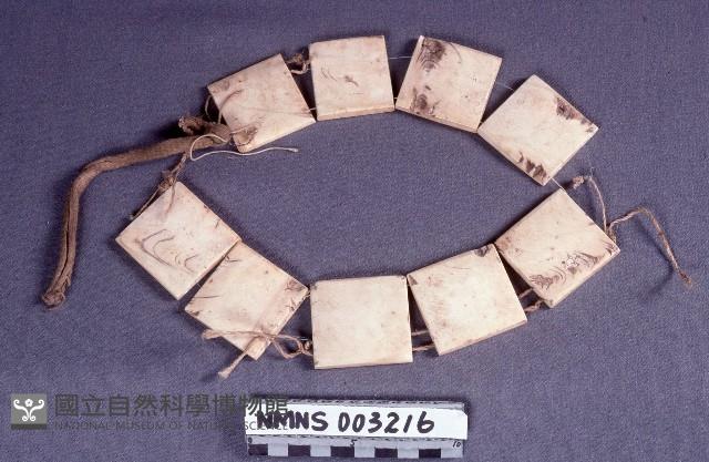 貝飾藏品圖，第1張