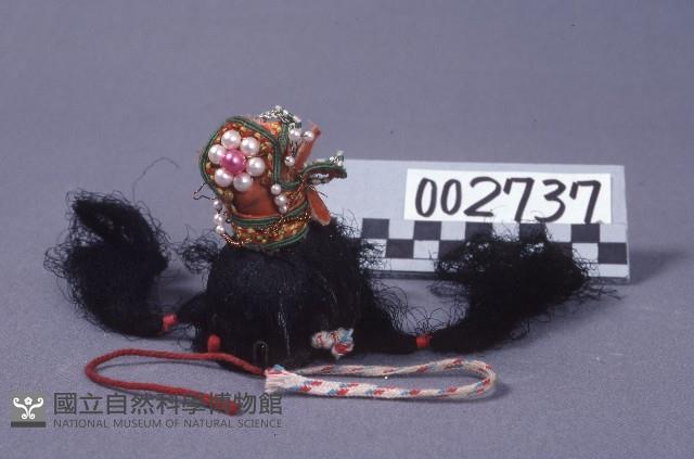 Accession Number:0000002737 Collection Image