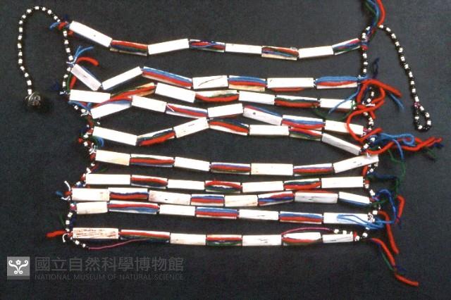 貝片板項鍊藏品圖，第1張