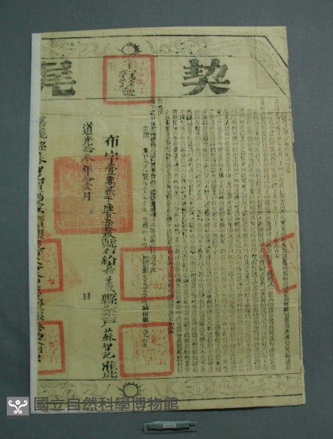契約書藏品圖，第2張