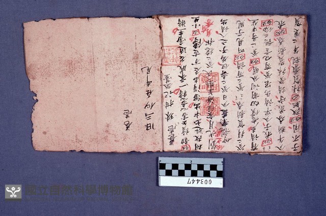 劇本藏品圖，第1張