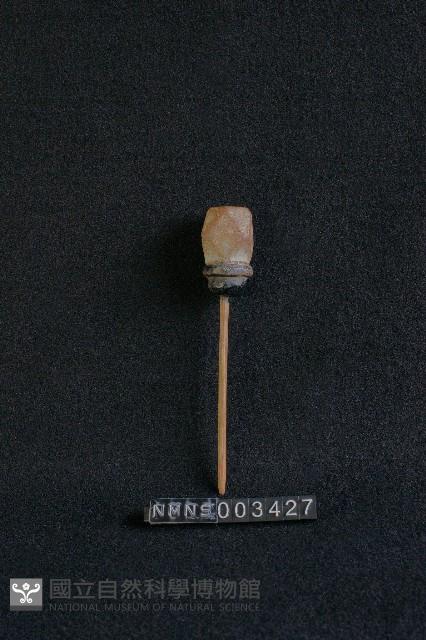 武器藏品圖，第1張