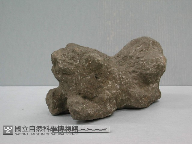 石雕虎爺藏品圖，第1張