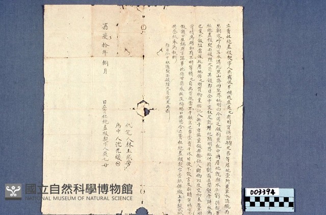 契約書藏品圖，第1張