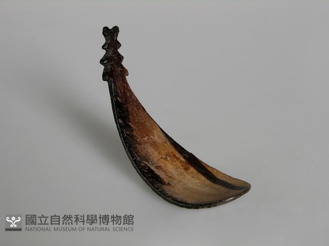 匙 藏品圖，第1張