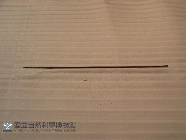 竹箭藏品圖，第2張