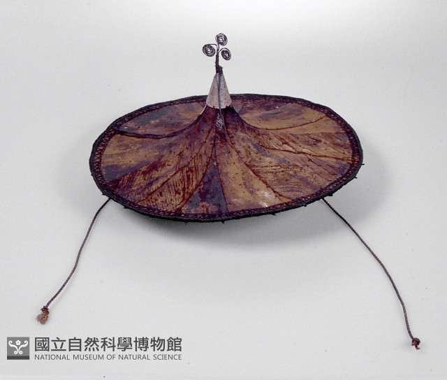 女帽藏品圖，第1張