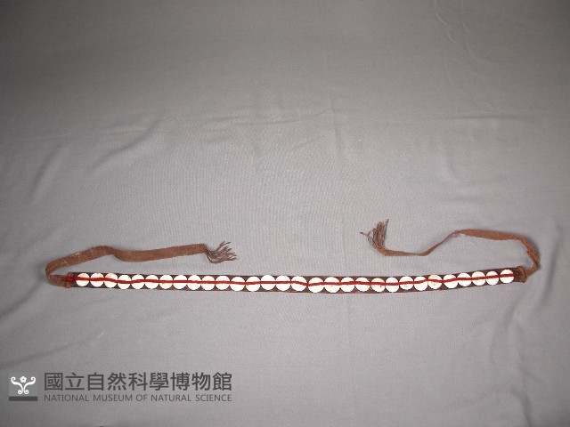 貝帶藏品圖，第1張