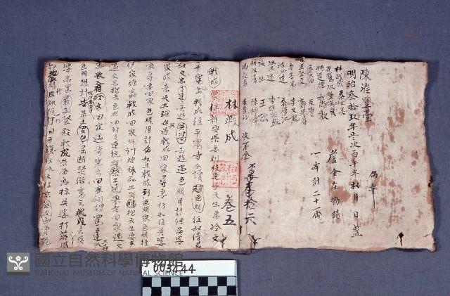 劇本藏品圖，第1張