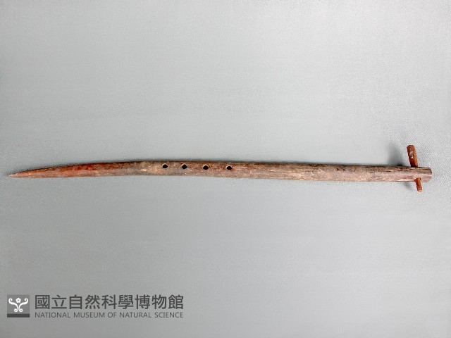 插柄藏品圖，第1張