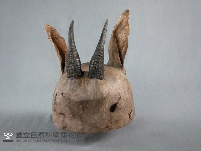 山羊皮帽藏品圖，第2張