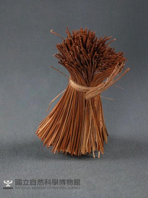 小米桿藏品圖，第1張