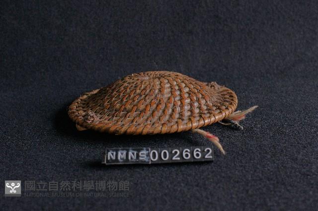 道具(盾)藏品圖，第1張