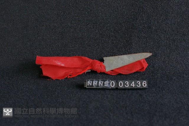 武器藏品圖，第1張