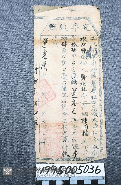 完單執照藏品圖，第1張