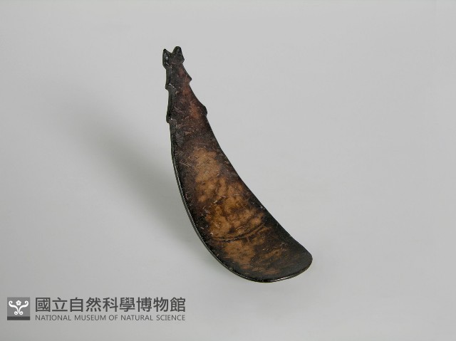 匙 藏品圖，第1張
