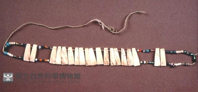 貝片板項鍊藏品圖，第1張