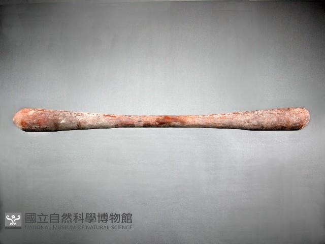 木杵藏品圖，第1張