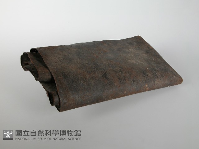 皮雨衣藏品圖，第1張