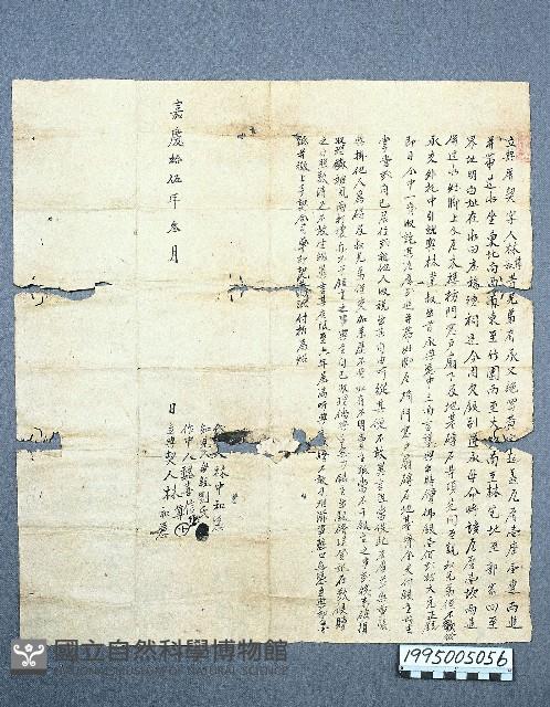 典貸借洗契藏品圖，第1張