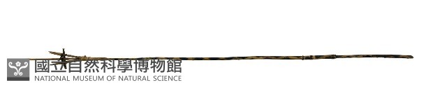 五年祭祭桿藏品圖，第1張