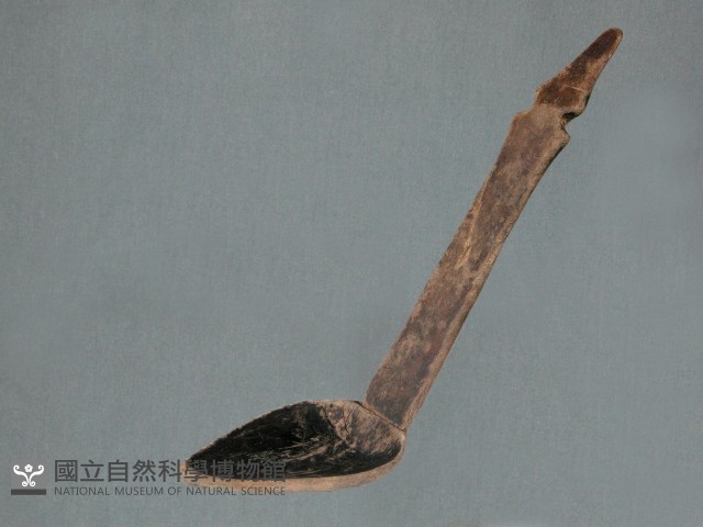 匙藏品圖，第1張
