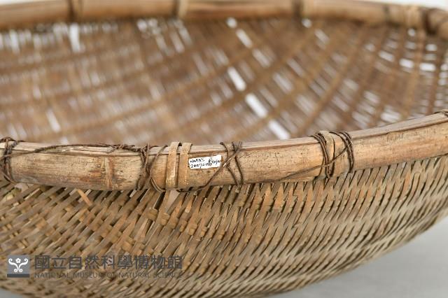 稈模藏品圖，第2張