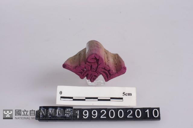 印版藏品圖，第2張