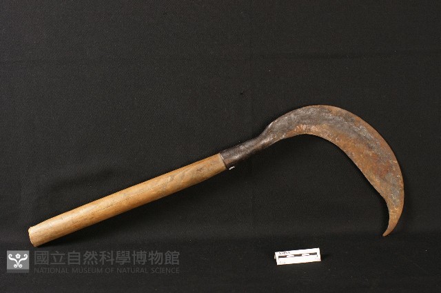 藍甸刀藏品圖，第2張