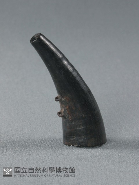 火藥筒藏品圖，第2張