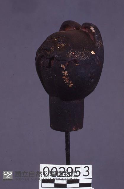 虎爺頭藏品圖，第1張