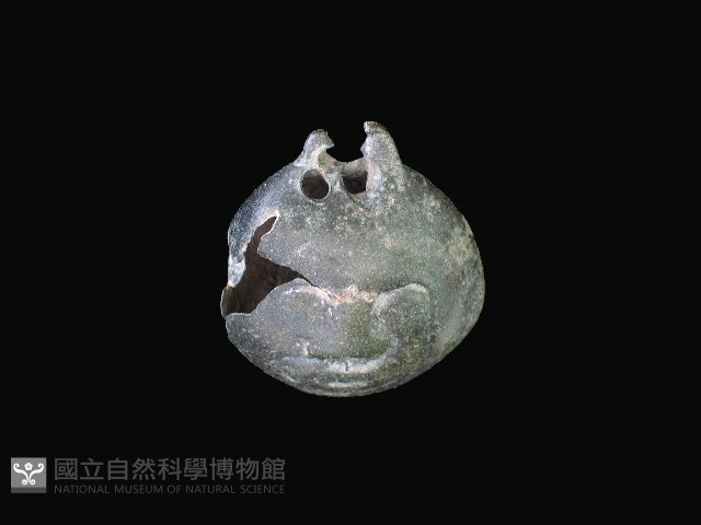 鈴藏品圖，第1張