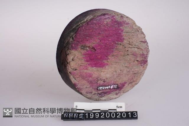 印版藏品圖，第2張