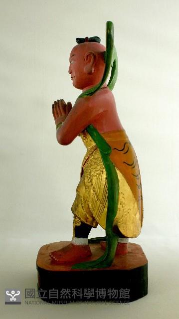 Accession Number:0000002451 Collection Image, Figure 3, Total 4 Figures