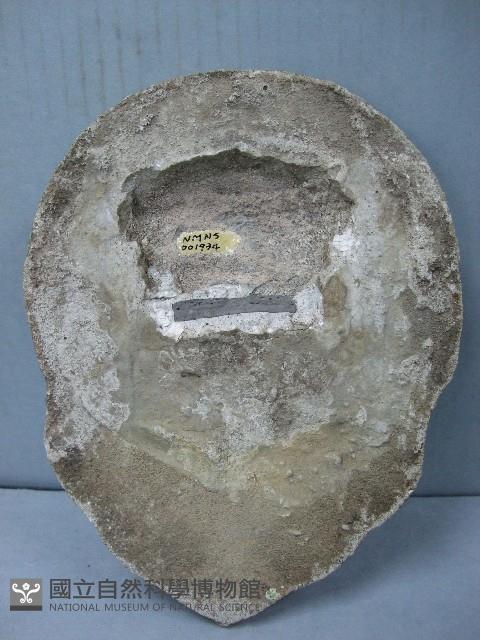 瓦當藏品圖，第1張