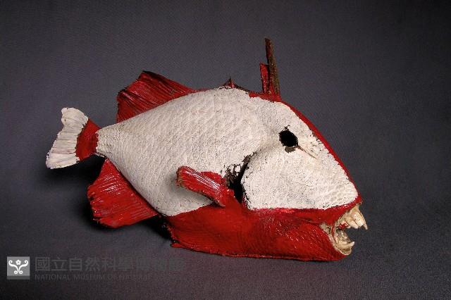 魚皮藏品圖，第2張