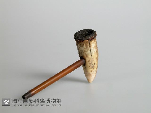 煙斗藏品圖，第1張