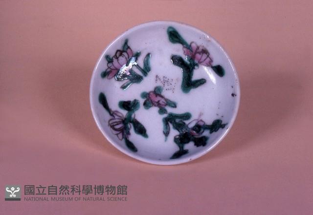 碟藏品圖，第1張