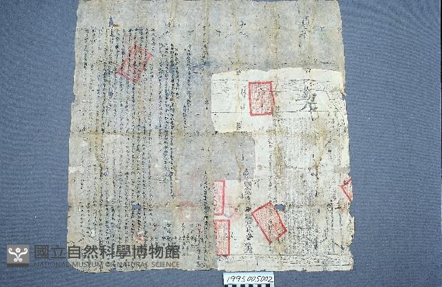 房地買賣契藏品圖，第2張