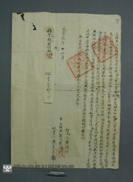 契約書藏品圖，第2張
