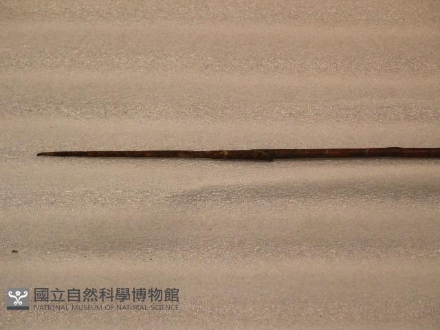 竹箭藏品圖，第1張