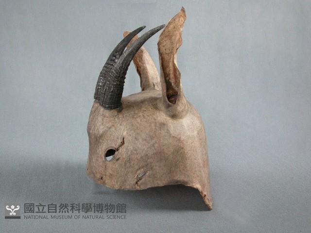 山羊皮帽藏品圖，第1張